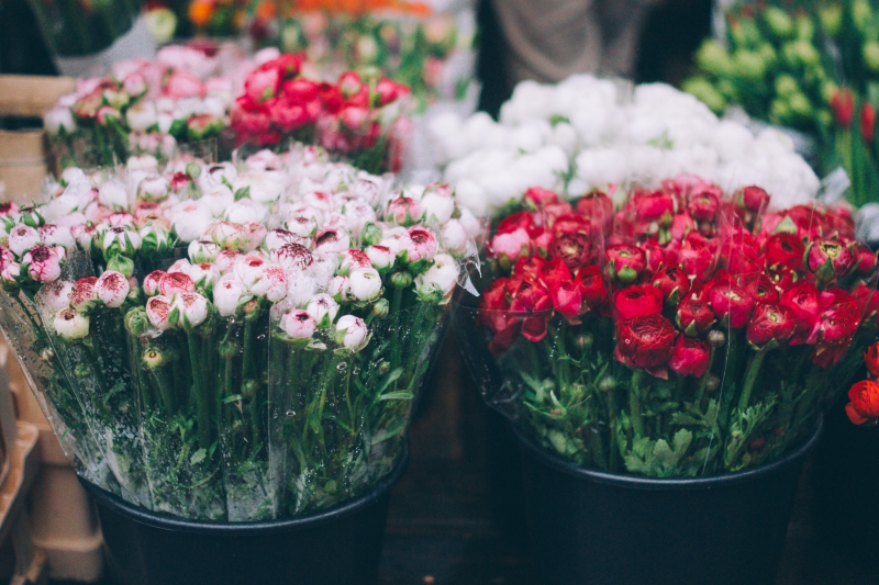 fleuriste-GUILLAUMES-min_farmers-market-1209712